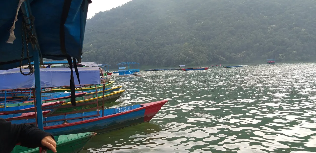 Wooden boats moored along Phewa Lake at the foot of the Annapurna foothills
